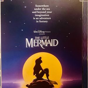 Walt Dinsey beautiful The little Mermaid journal